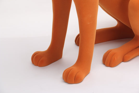 Wild grace fierce style I Styling piece