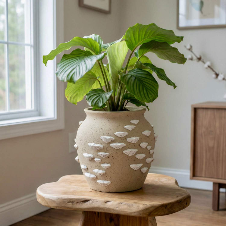 Beachy elegance, sculpted to perfection I Pot (Large)