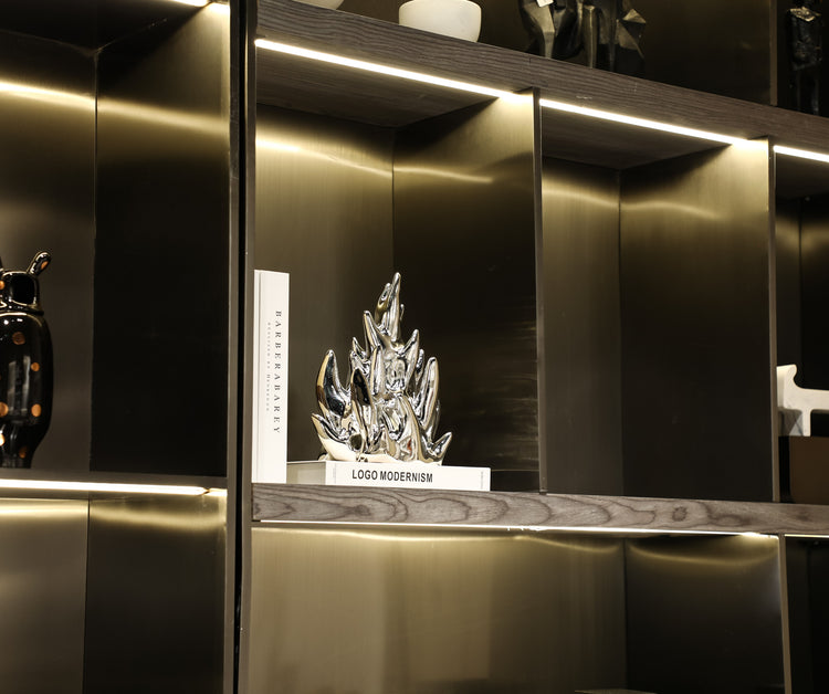 Burst of brillance for  your space I Ornament (Silver)