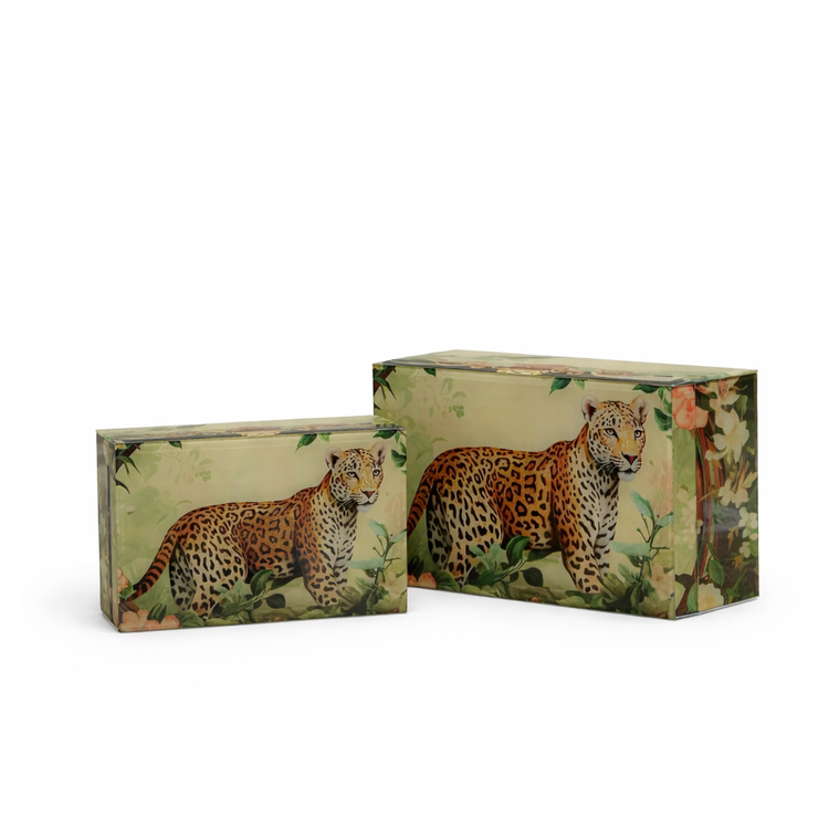 Safari curio box I Storage box